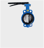 Diaphragm Valves