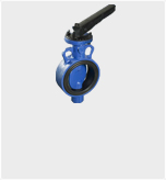 Diaphragm Valves